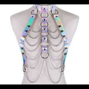 Holographic chain harness